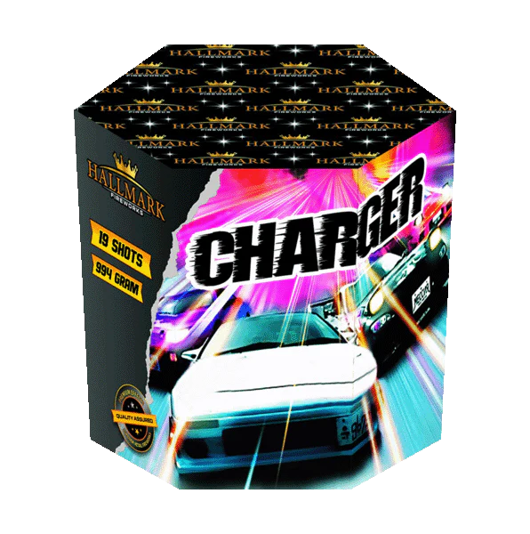 CHARGER (19 SHOT)